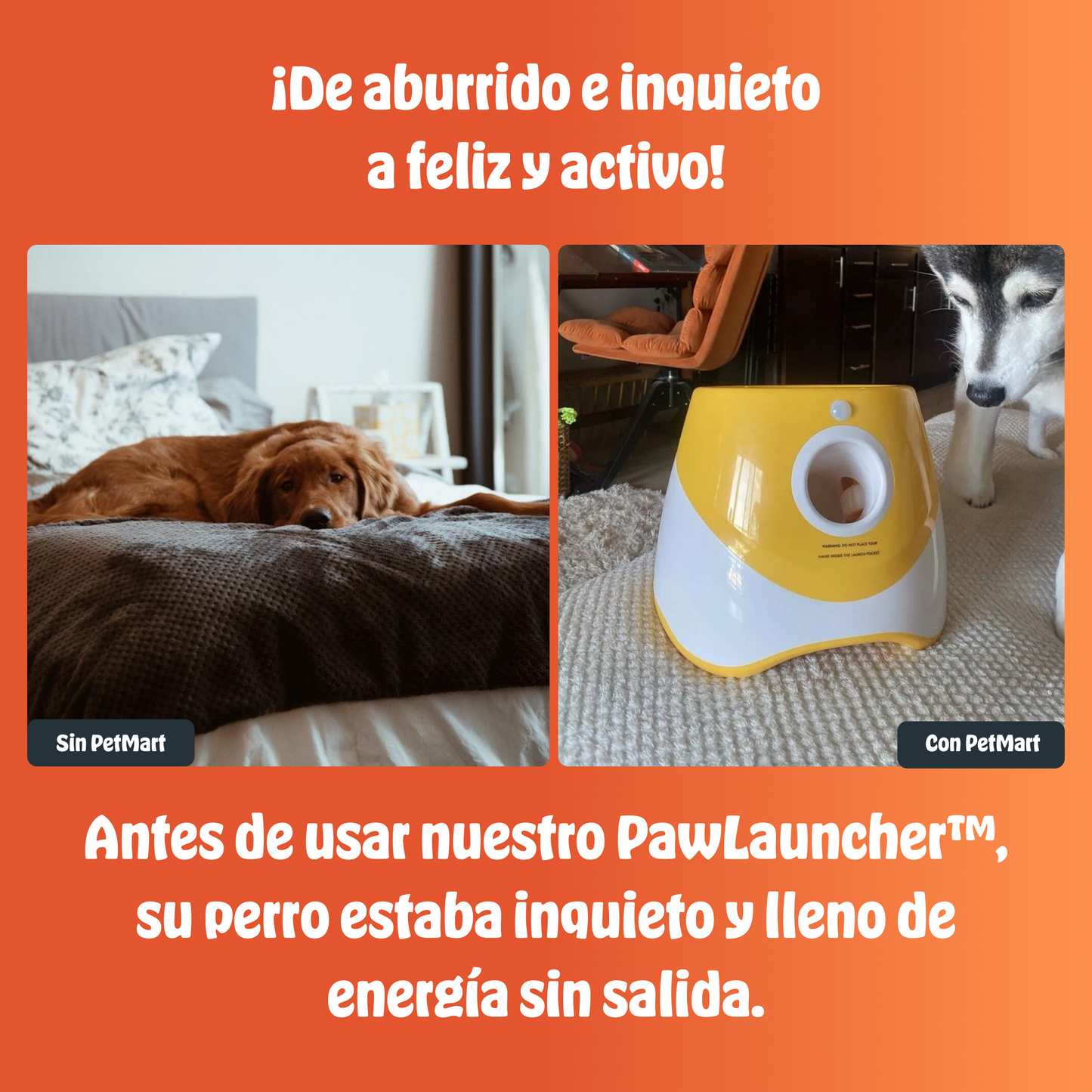 PawLauncher™ | Diversión sin fin, cero esfuerzo