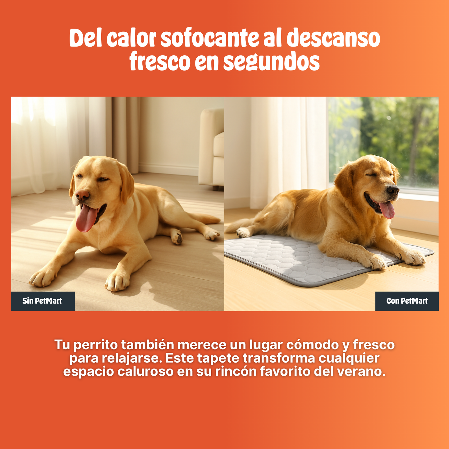 CooliPet™ | Frescura instantánea para tu mascota