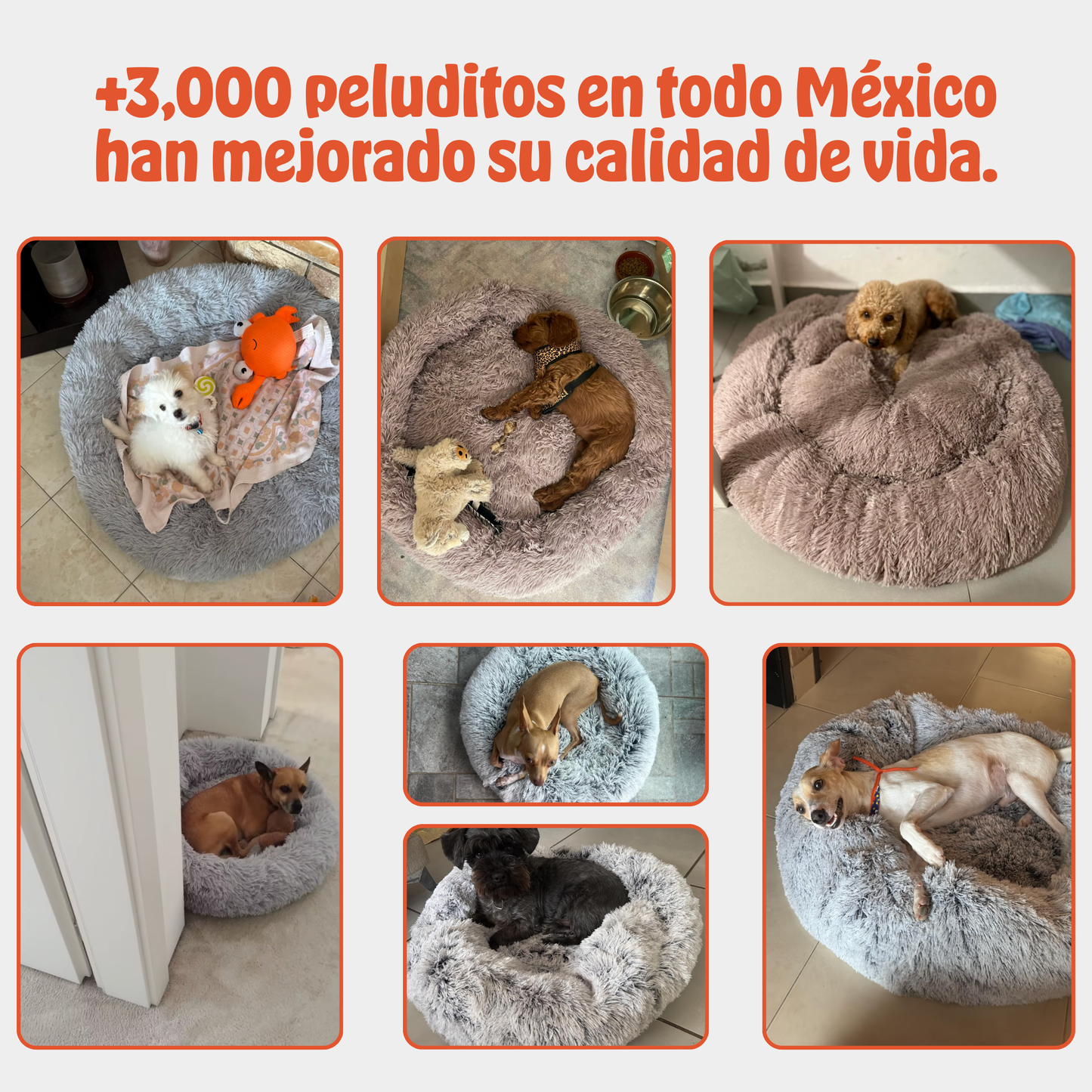 FluffyNest™ | La cama que transforma su estrés en calma