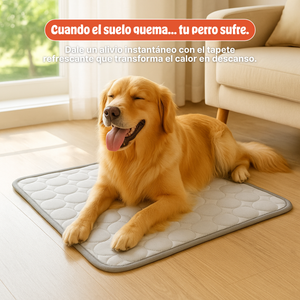 CooliPet™ | Frescura instantánea para tu mascota