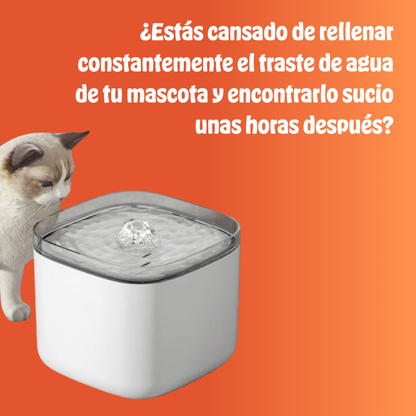 PureFlow™ | Hidratación Continua y Saludable