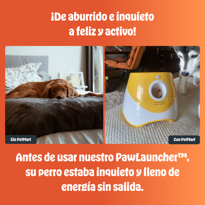 PawLauncher™ | Diversión sin fin, cero esfuerzo
