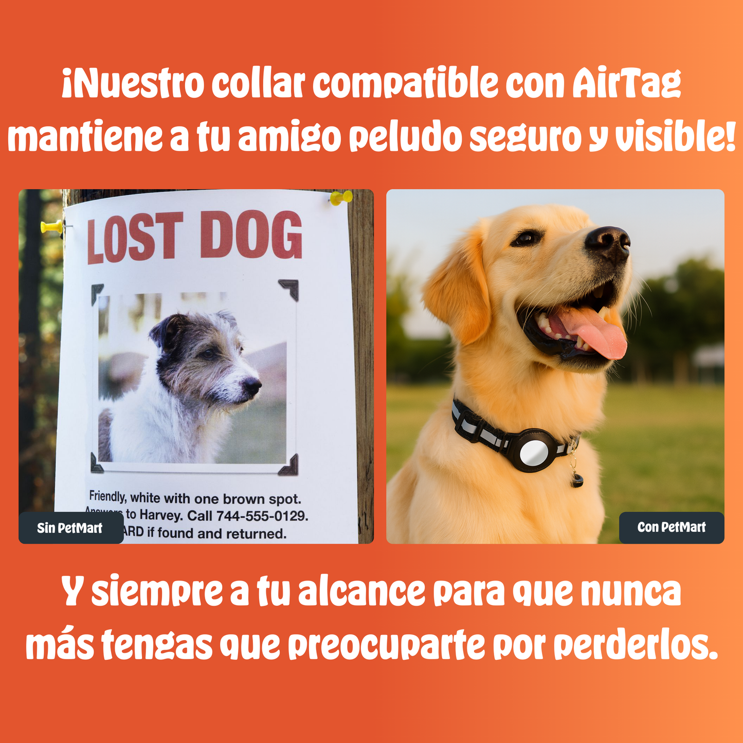 PetTag® | Seguridad Para tu Mascota, en Todo Momento y Lugar