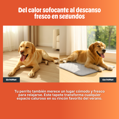CooliPet™ | Frescura instantánea para tu mascota