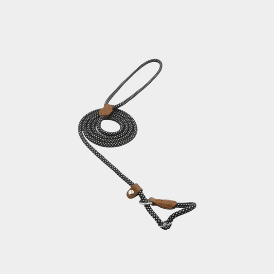 PawStride™ | Correa y Collar de Nylon Duradero y Cómodo