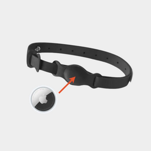 PetTag® | Seguridad Para tu Mascota, en Todo Momento y Lugar