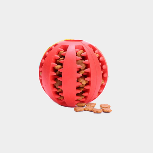ToughBounce™ | Rebota, Entretiene y Recompensa